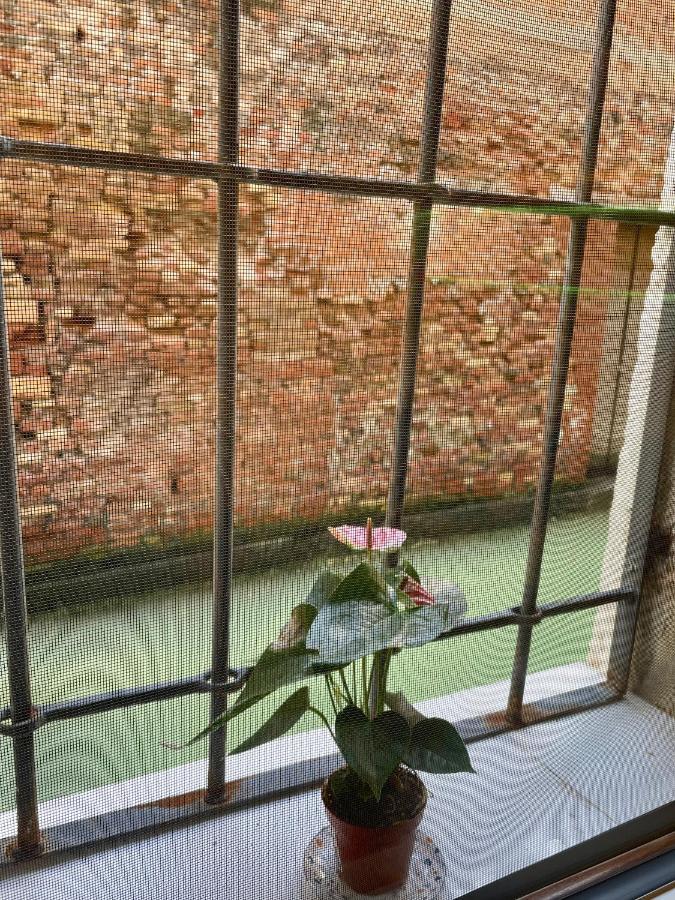 Hayez Rooms Venice Exterior photo